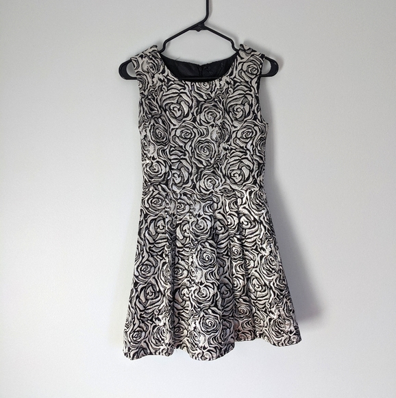 Silver Dress - Picture 1 of 3